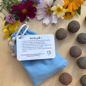Samenbomben in vier verschieden Sorten, verpackt in einem hellblauen, 100% Baumwollbeutel, daran hängt eine Visitenkarte mit bildlicher und schriftlicher Beschreibung.