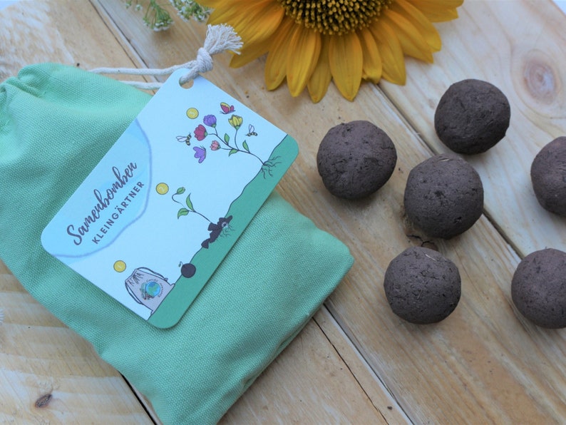 Ein kleiner Baumwollbeutel in Mint, mit einer naturfarbigen Kordel zum zu ziehen, daran ist eine Pappkarte mit Anleitung befestigt. Da neben liegen 10 braune Samenbomben und eine Sonnnenblumen Blüte.