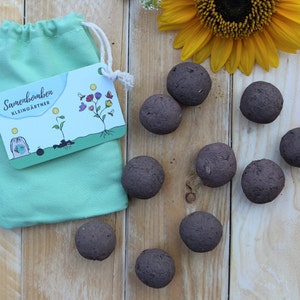 Ein kleiner Baumwollbeutel in Mint, mit einer naturfarbigen Kordel zum zu ziehen, daran ist eine Pappkarte mit Anleitung befestigt. Da neben liegen 10 braune Samenbomben und eine Sonnnenblumen Blüte.