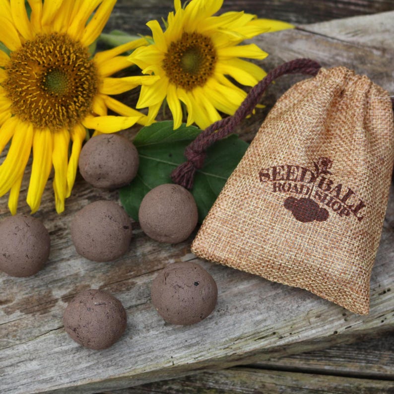 Samenbomben buten Blumen, Wildblumen, Sonnenblumen, 6 Stück im Beutel, handmade Sonnenblumen