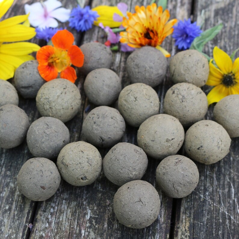 Samenbomben, Seedbombs, Saatkugeln, Blühkugeln