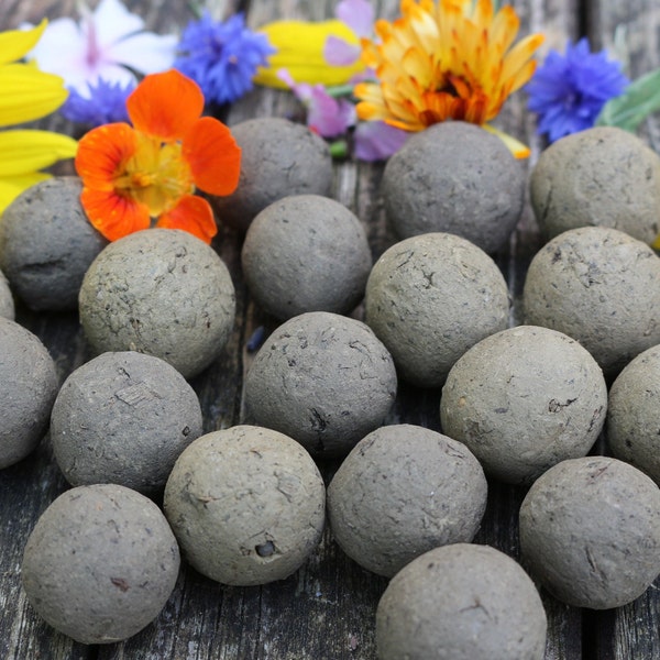 100 Samenbomben, Seedballs unverpackt, mit verschiedenen Blumensamen, um z.B. schöne Gastgeschenke zu basteln, oder selbst auszuwerfen.