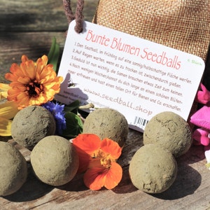 May include: A selection of grey seedballs, with a tag reading "Bunte Blumen Seedballs". The seedballs are displayed with vibrant orange and yellow flowers. The tag provides planting instructions in German.