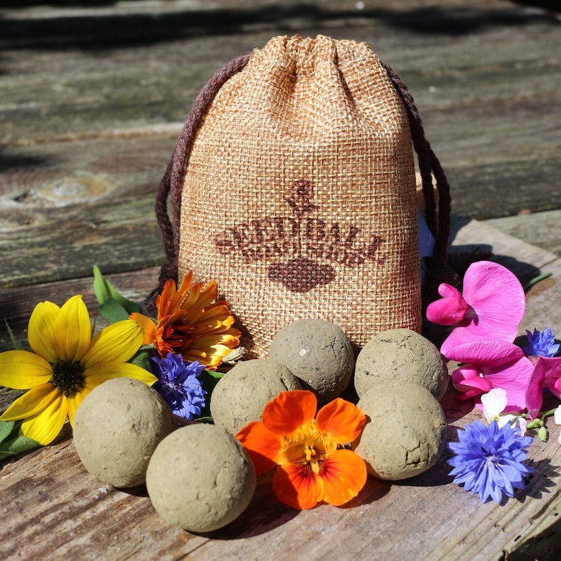 May include: A hessian drawstring bag with the text "Seedball" in brown, alongside several grey seed balls. The scene is decorated with colourful flowers, including yellow sunflowers, orange nasturtiums, and pink sweet peas, on a wooden surface.