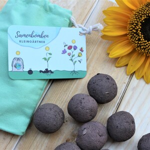 Ein kleiner Baumwollbeutel in Mint, mit einer naturfarbigen Kordel zum zu ziehen, daran ist eine Pappkarte mit Anleitung befestigt. Da neben liegen braune Samenbomben und eine Sonnnenblumen Blüte.