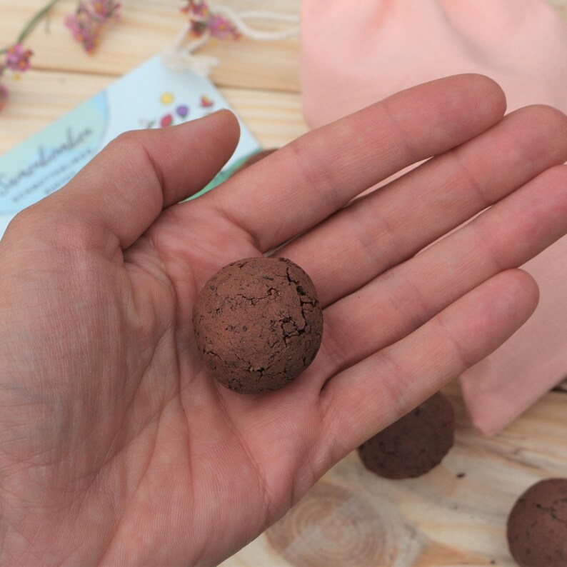 rostrote Samenbomben in der Hand liegen von Nature Roadshop