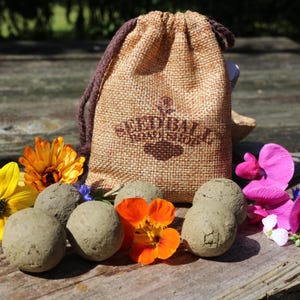 Samenbomben buten Blumen, Wildblumen, Sonnenblumen, 6 Stück im Beutel, handmade Bunte Blumen
