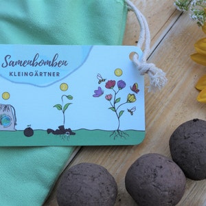 K&ouml;nnte beinhalten: Samenbomben und eine Karte mit den Worten "Samenbomben KLEING&Auml;RTNER" werden auf einer Holzoberfl&auml;che gezeigt. Die Karte zeigt eine Illustration des Pflanzenlebenszyklus. Ein gr&uuml;ner Kordelzugbeutel und eine Sonnenblume sind ebenfalls im Bild.