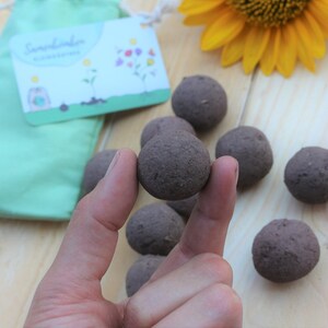 Eine braune Samenbombe wird mit 2 Finger gehalten.