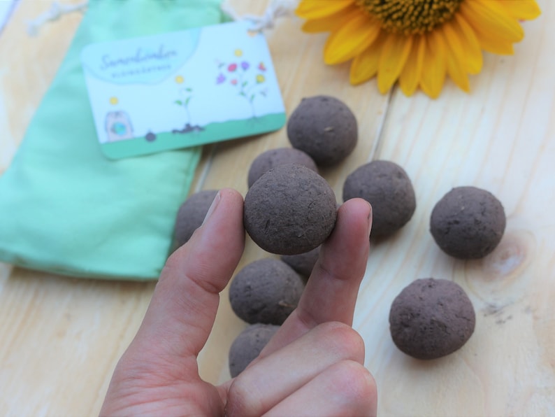 Eine braune Samenbombe wird mit 2 Finger gehalten.