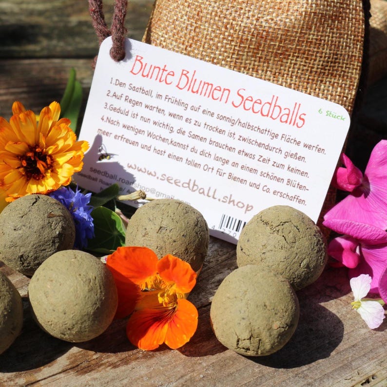 Samenbomben buten Blumen, Wildblumen, Sonnenblumen, 6 Stück im Beutel, handmade afbeelding 8