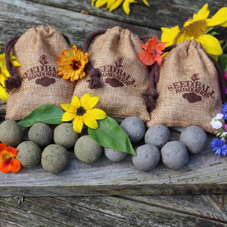 Samenbomben buten Blumen, Wildblumen, Sonnenblumen, 6 Stück im Beutel, handmade afbeelding 2