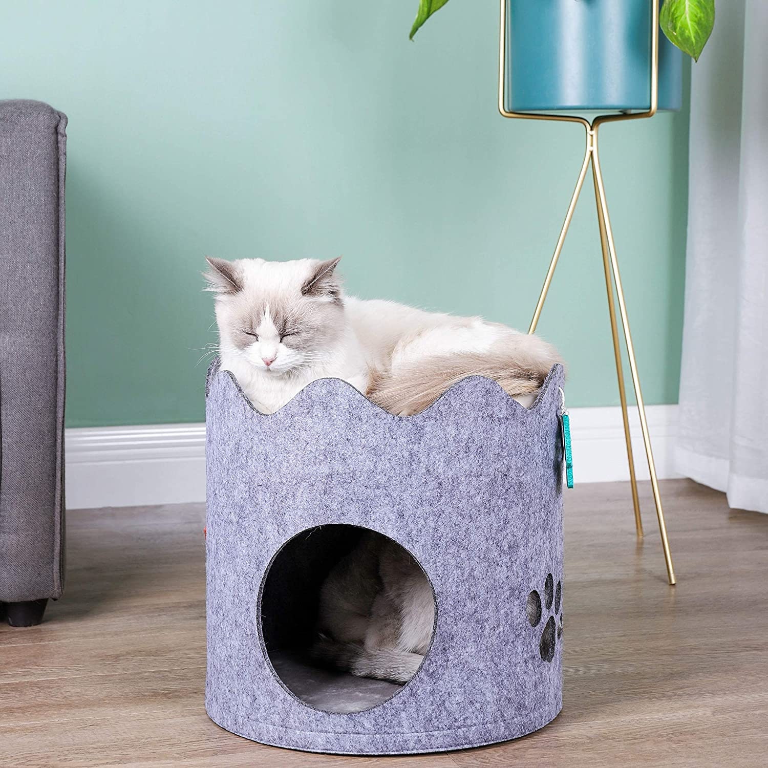 Cat Houses with Scratcher for Indoor Cats 2 Tier Cat Condos Etsy