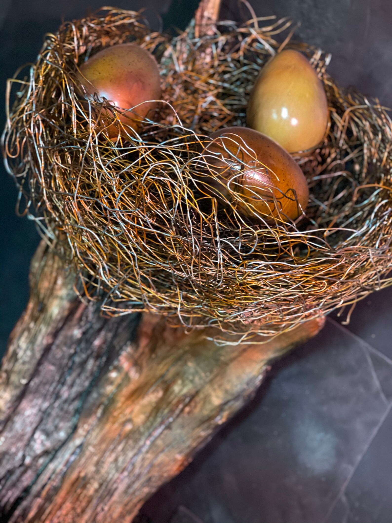 Eagles Nest Sculpture Wood & Metal by Artist Rene Sepulveda Etsy