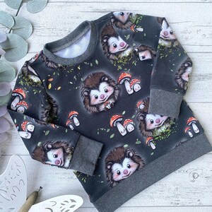 Igel Pullover 80, Baby Sweater Herbst, Pullover Kinder, graues Sweatshirt Mädchen und Jungen, Waldtiere Babykleidung, MakeArt Berlin