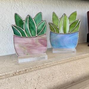May include: Two stained glass succulent plant sculptures. One has a pink and white pot, the other a blue and white pot. The leaves are green. Each sculpture is mounted on a clear acrylic base. The plants are displayed on a stone ledge.