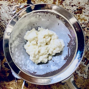 Organic Kefir Grains, Live Fresh Milk Kefir Grains With All Instructions