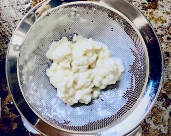 Organic Kefir Grains, Live Fresh Milk Kefir Grains With All Instructions