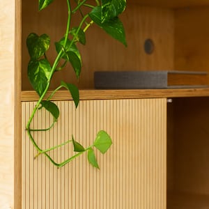 May include: A wooden cabinet with two doors, one of which is open. The cabinet has a light wood finish and a grooved design on the doors. A green plant is hanging from the top shelf of the cabinet.