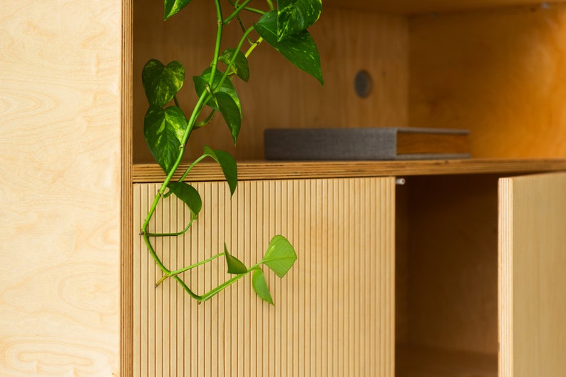 May include: A wooden cabinet with two doors, one of which is open. The cabinet has a light wood finish and a grooved design on the doors. A green plant is hanging from the top shelf of the cabinet.