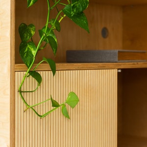 May include: A wooden cabinet with two doors, one of which is open. The cabinet has a light wood finish and a grooved design on the doors. A green plant is hanging from the top shelf of the cabinet.