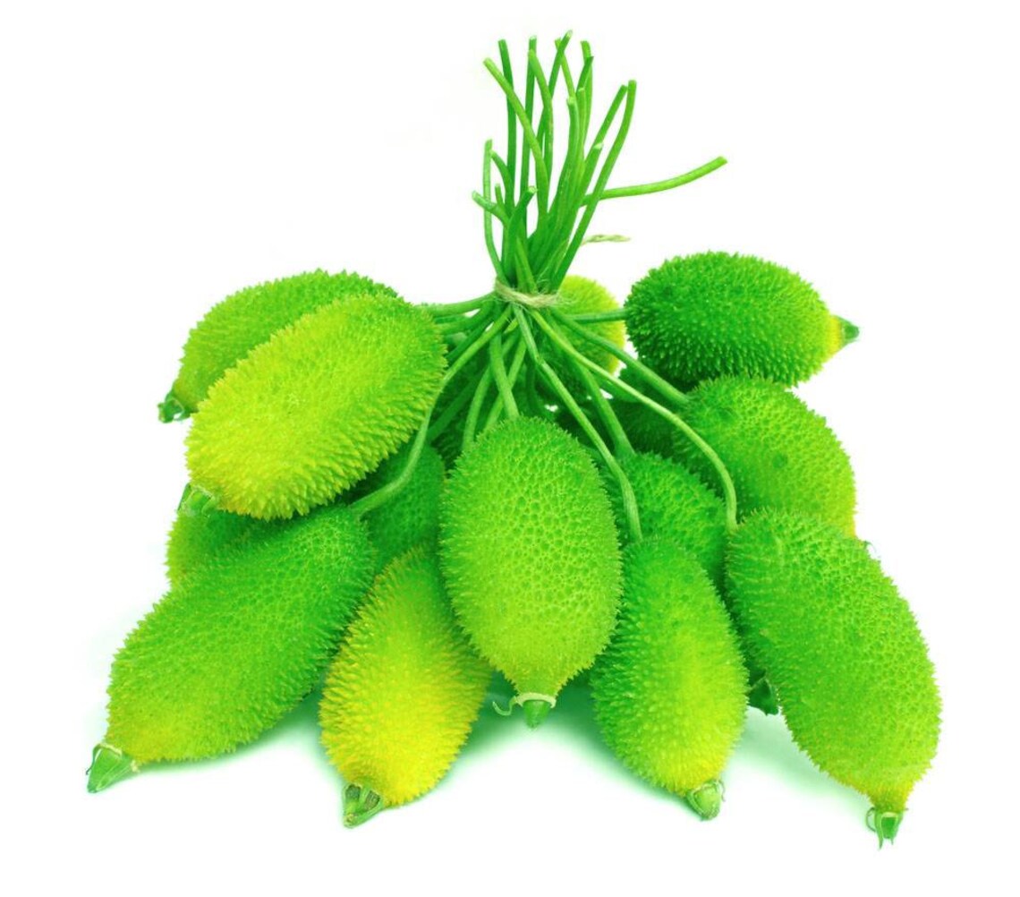 Spiny gourd seeds Ceylon bitter seeds bristly balsam pear Etsy