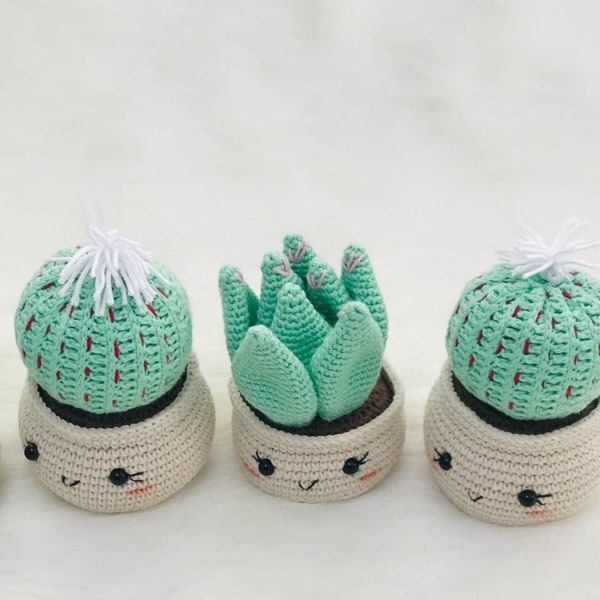 Crochet Flowers Cactus | Crochet Ornament/Mother’s Day Crochet gift crochet Decor | Crocheted Succulent For Living Room | Aloe Vera Crochet