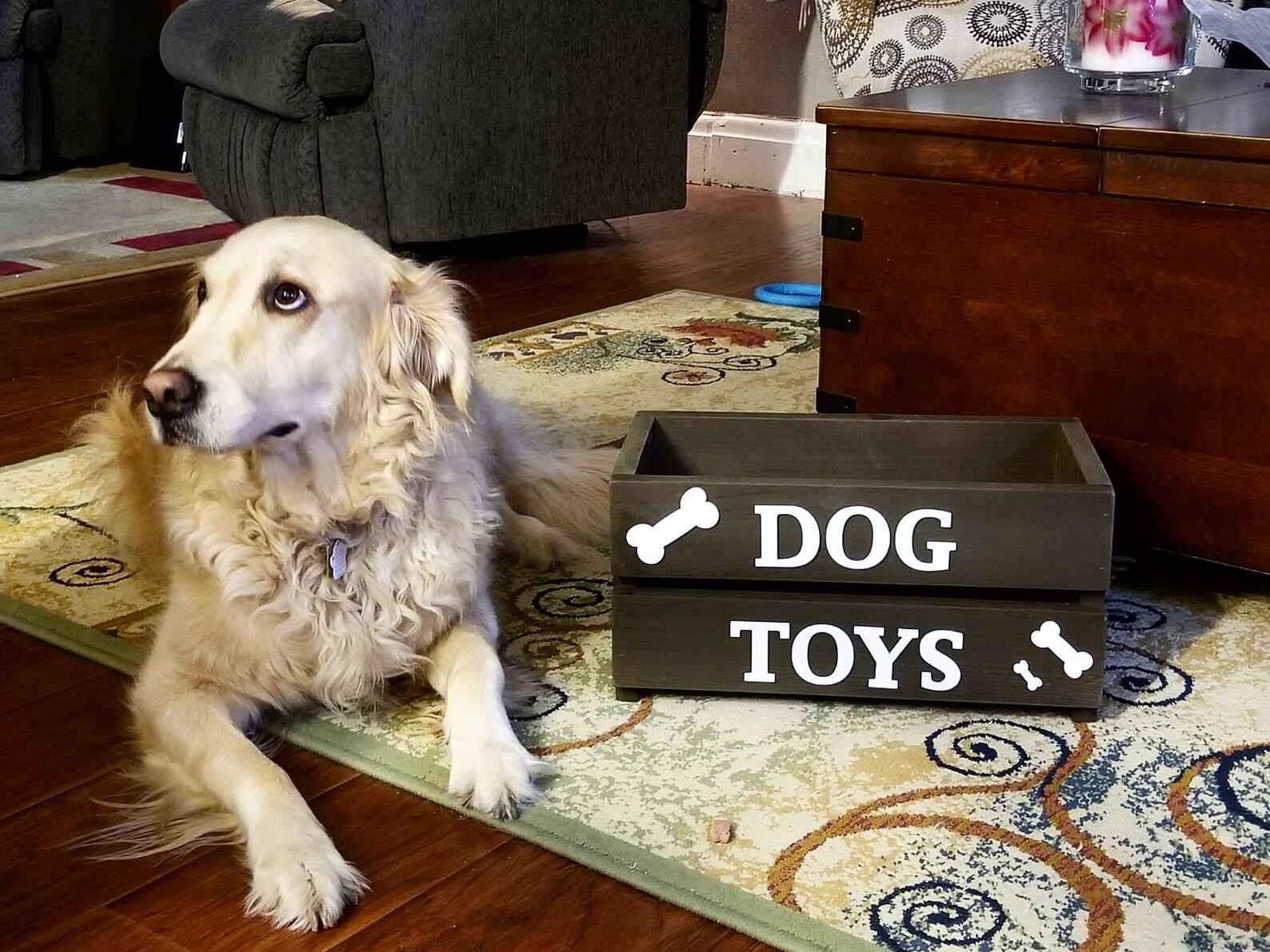 Wooden Dog Toy Box Dog Box Dog Toy Crate Pet Toy Box Etsy