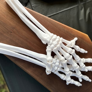 Xl Flexi Skeleton Hand