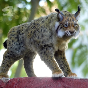 Realistic handmade one of a kind lynx art doll