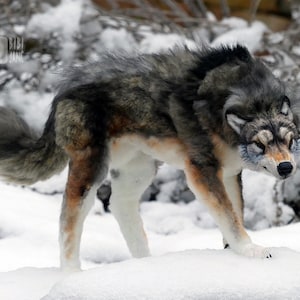 Op de afbeelding: Een grijs en bruin pluche wolf speelgoed met witte markeringen staat op een besneeuwde ondergrond. De wolf heeft een realistische uitstraling met een harige staart en een woeste uitdrukking.