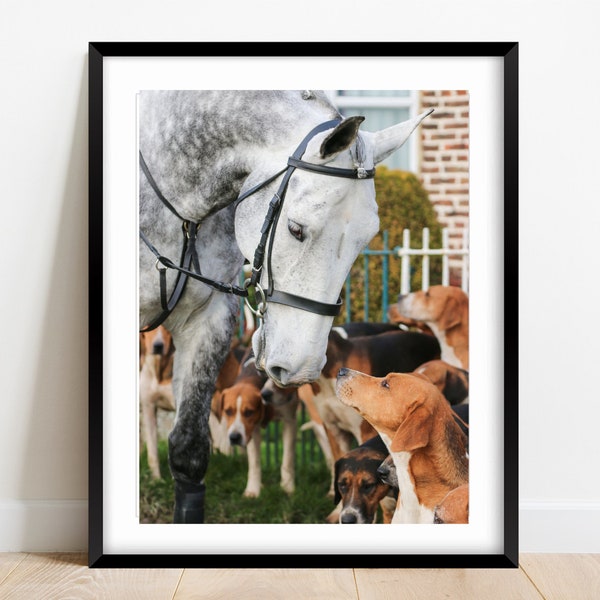Hello My Friend - photographic print | canvas print | Horses and Hounds country sports art