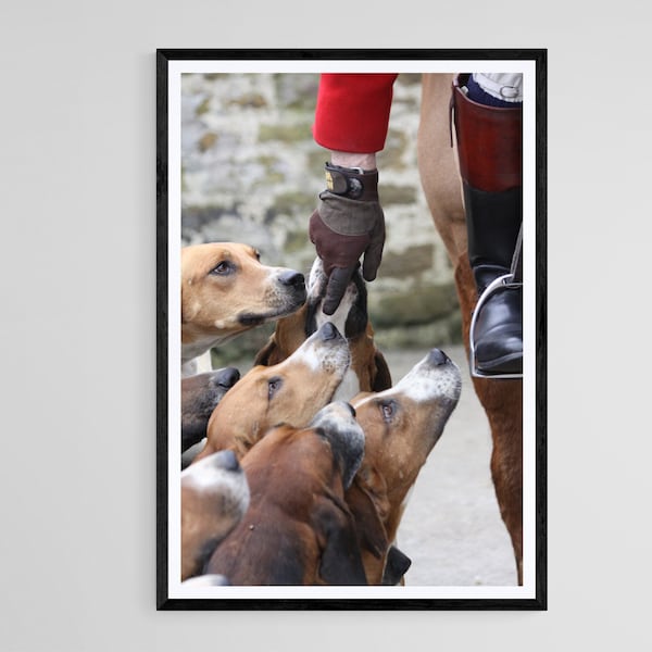 Hand of God - photographic print | canvas print | Horses and Hounds country sports art