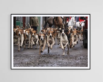 Galloping Hounds - photographic print | canvas print | Horses and Hounds country wall art
