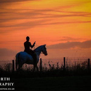 Cazador al atardecer: impresión fotográfica / impresión en lienzo / Arte deportivo campestre de caballos y perros