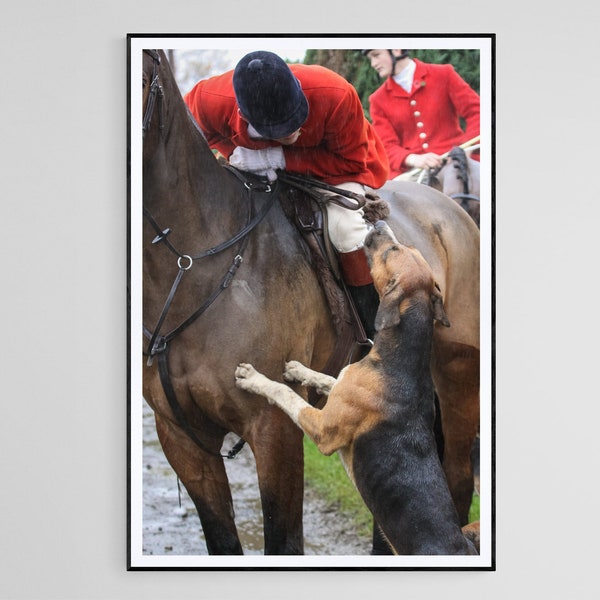 Hello My Friend II - photographic print | canvas print | Horses and Hounds country sports art