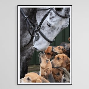 Horse & Hound Kisses - photographic print | canvas print | Horses and Hounds country pursuits art