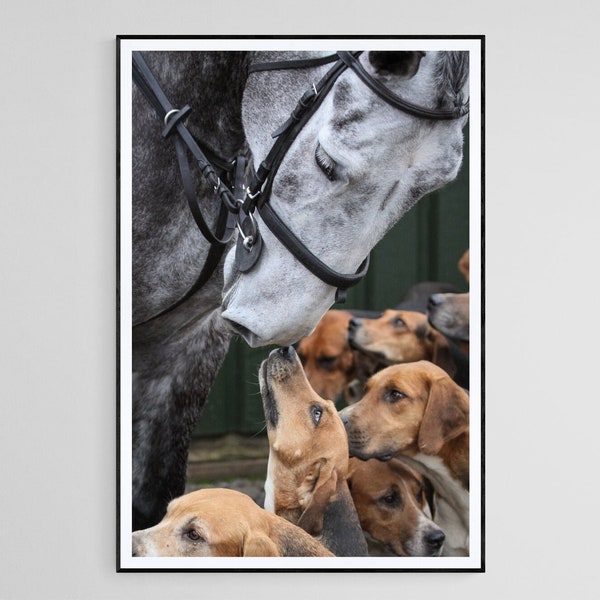 Horse & Hound Kisses - photographic print | canvas print | Horses and Hounds country pursuits art