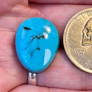 Kingman Turquoise Cabochon