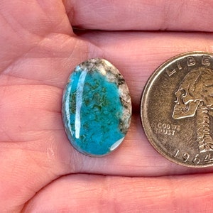 Kingman Turquoise Cabochon