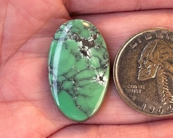 Black Bridge Variscite Cabochon