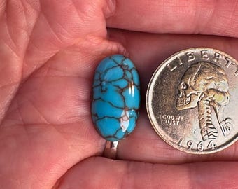 Egyptian Turquoise Cabochon
