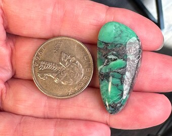Black Bridge Variscite Cabochon