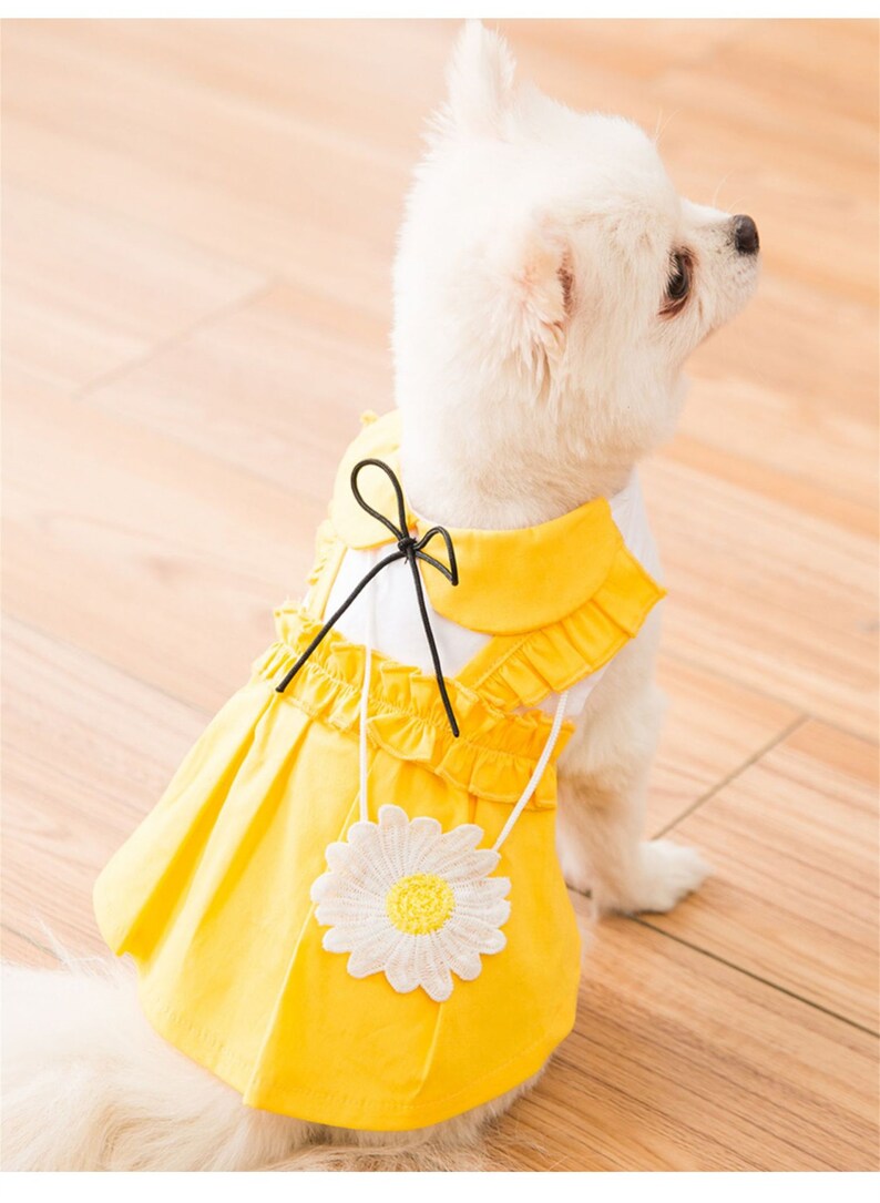 Satchel Skirt Dog Clothes Dress for Dogs Clothing Pet Outfits Etsy