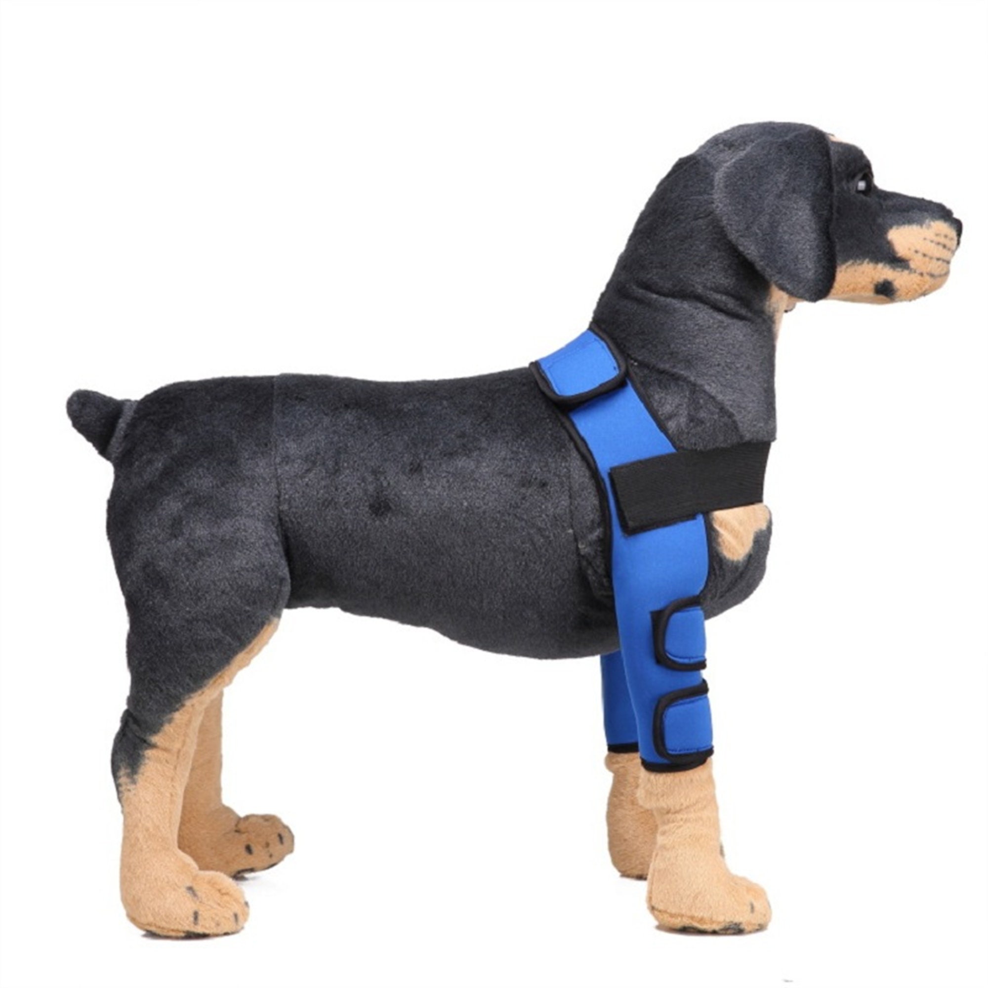 Neoprene Pet Knee Pads Support Brace Breathable Dog Elbow Etsy