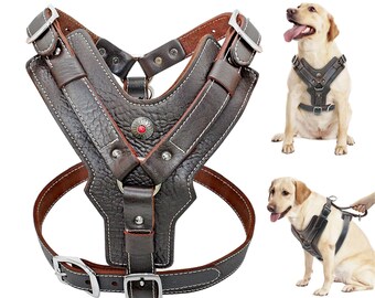 pitbull dog harness