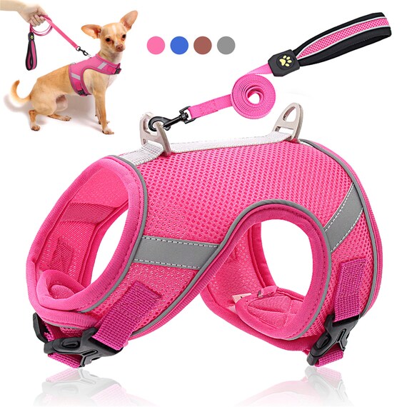 Breathable Mesh Small Dog Pet Harness and Leash Set Puppy Vest For Dog Cat Hot Breathable Mesh Small Dog Pet Harness and Leash Set Puppy Vest For Dog Cat Hot