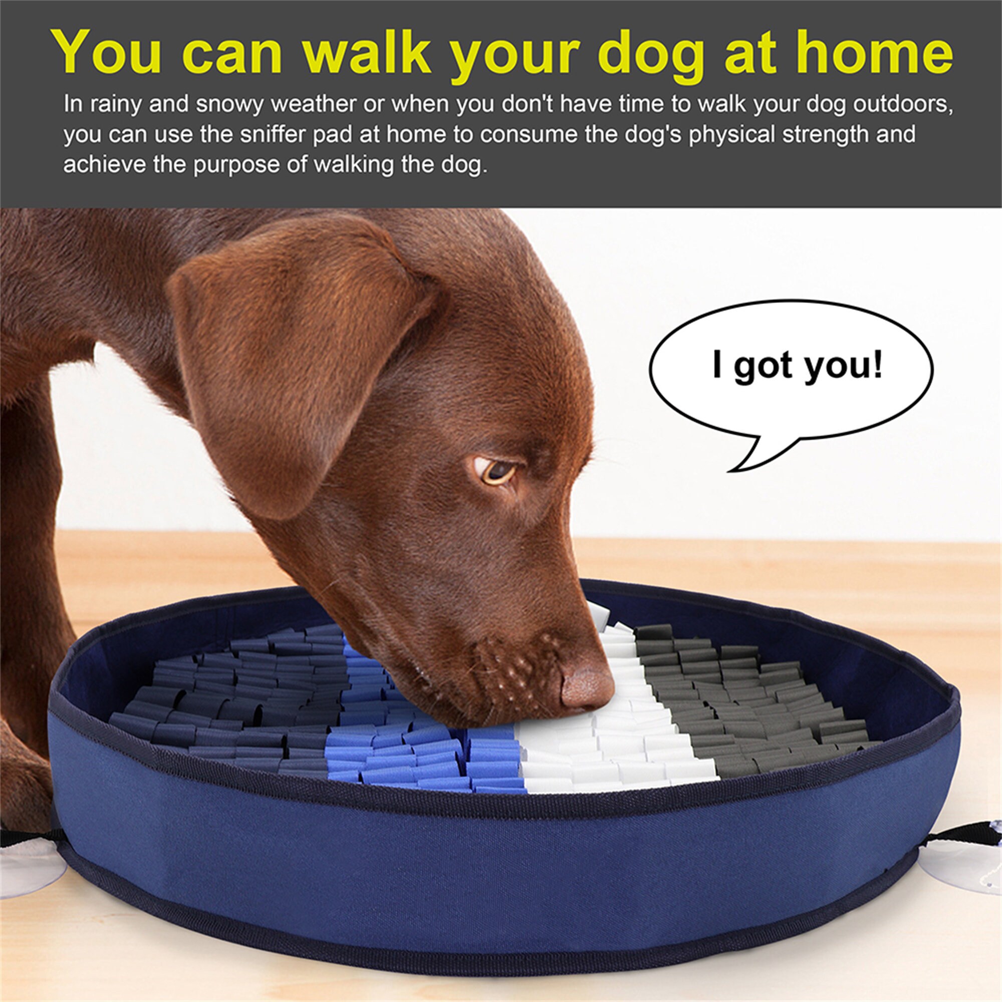 Non Slip Dog Slow Feed Mat Indoor Pet Smell Training Pad Etsy