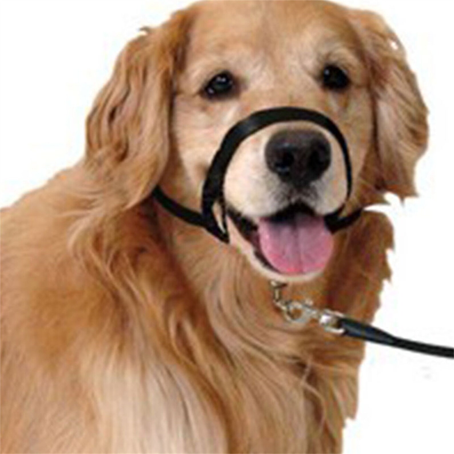 Harness Adjustable Muzzle Pet Dog Padded Head Collar Training Etsy