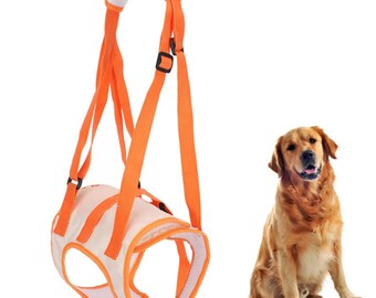 dog disability harness